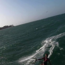 Jenny Cosmic Babarete Bay 55 August 2024