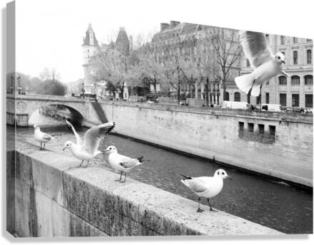 Les Oiseaux Canvas Print