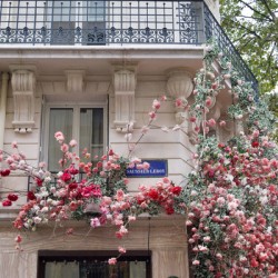 Batiment avec des Fleurs