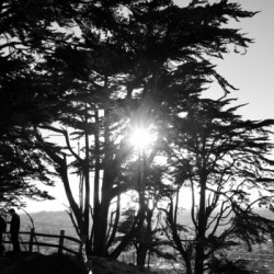 Evening at Tank Hill