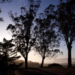 Sunset at Tank Hill II
