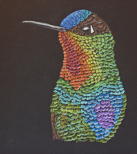 Fire throated hummingbird