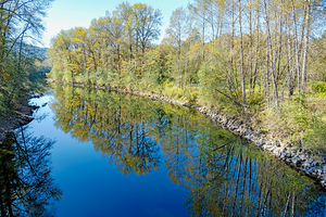 Snoqualmie River and early fall tree colors