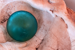 Glass float in shell