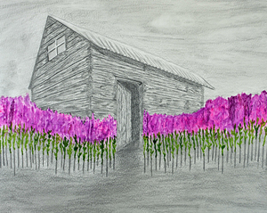 Abandoned house with fireweed