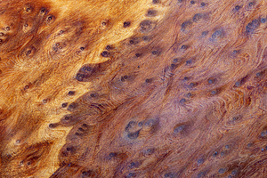 Detail of complex wood tabletop