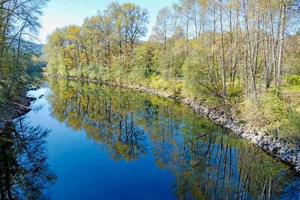 Snoqualmie River and early fall tree colors Print