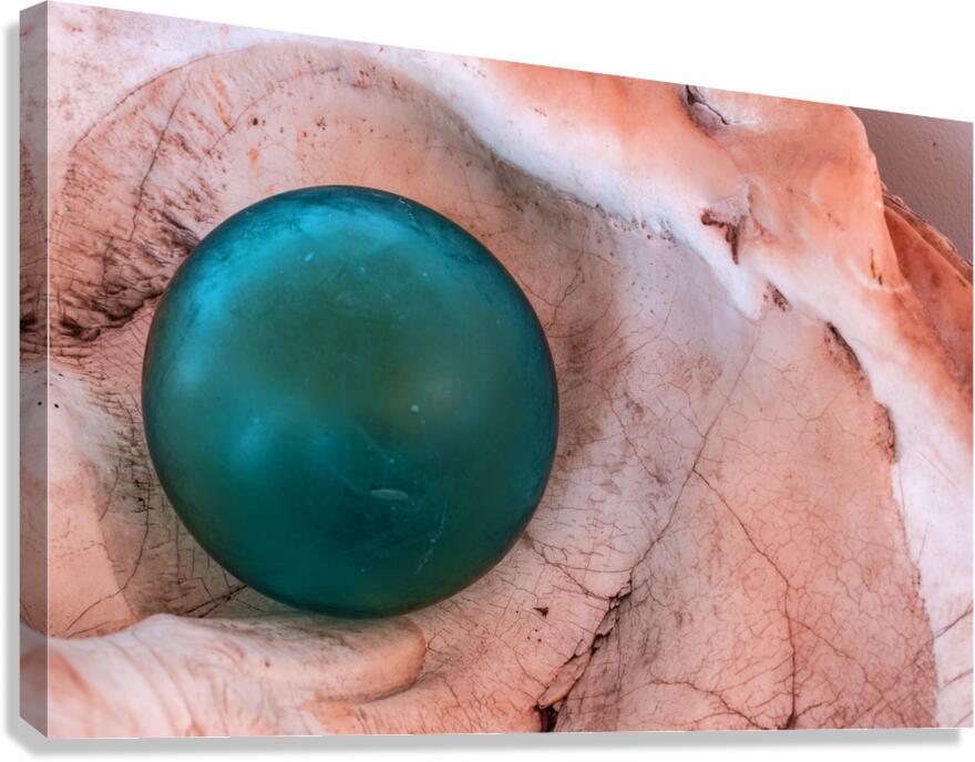 Glass float in shell Canvas Print