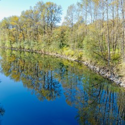 Snoqualmie River and early fall tree colors