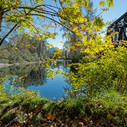 Snoqualmie River flowing beneath Reinig Bridge