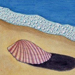 Seashell on Sand