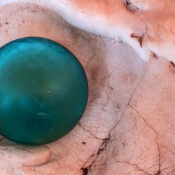 Glass float in shell