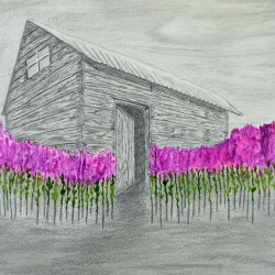 Abandoned house with fireweed