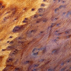 Detail of complex wood tabletop