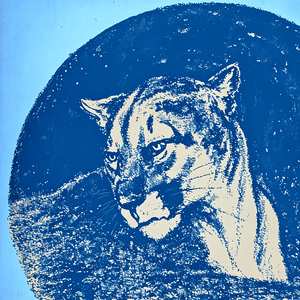 1930s BYU Cougar Art