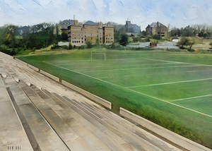 shield watkins field tennessee art