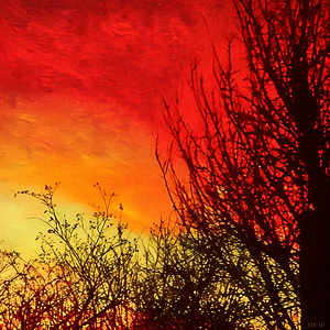 Red Orange and Yellow Sky