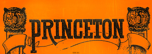 1913 Princeton Tigers Art Remix