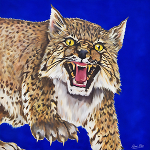 Vintage Gene Gray Kentucky Wildcat Remix