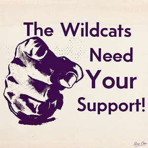 The Wildcats Need Your Support