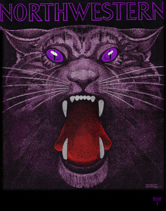 1935 Northwestern Wildcat Remix Art