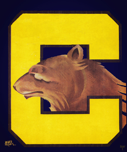 1942 Cal Bear Art by Artist Richard Stevens