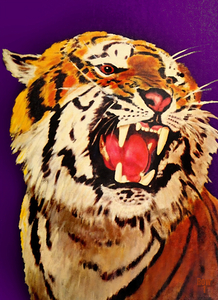 1950 Clemson Tiger Art Remix