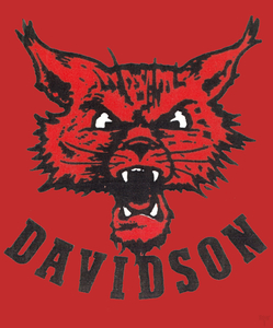 Vintage Davidson Wildcat Art