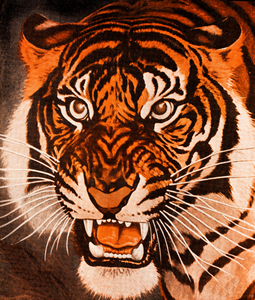 Vintage Tiger Art by Walter Joseph Wilderwing