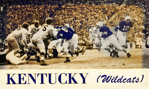 1952 Kentucky Wildcats Football Art