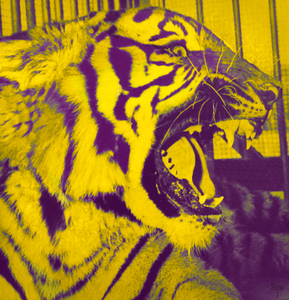 1958 LSU Tiger Art Mike II