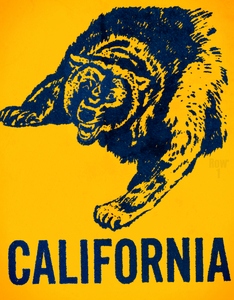 1966 Throwback California Bear Art