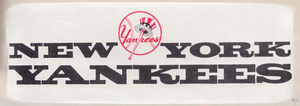 Vintage New York Yankees Viewfinder Slide Art