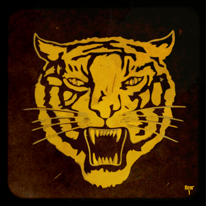 1968 Tiger Mascot Viewfinder Slide Art