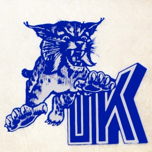 1970s kentucky wildcat