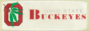 1973 Ohio State Buckeyes Retro Art | Row 1