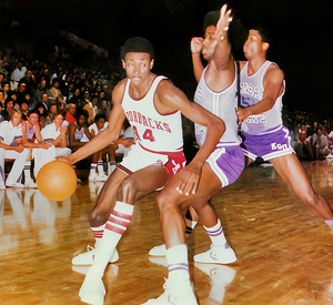 1976 Marvin Delph Arkansas Basketball Art