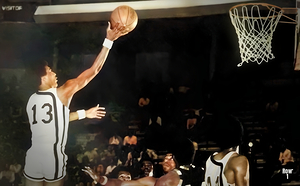 1976 southern miss basketball art