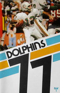 1977 Miami Dolphins Football Art