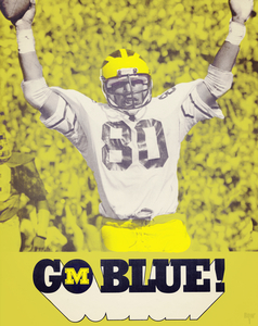 1979 Michigan Wolverines Go Blue Football Poster