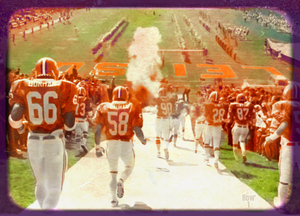 1980 clemson football entrance