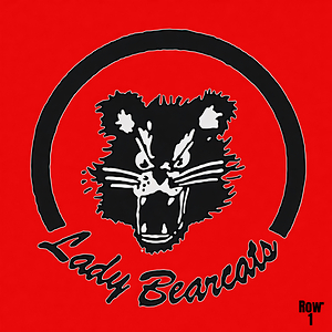 1980s Cincinnati Lady Bearcats Art