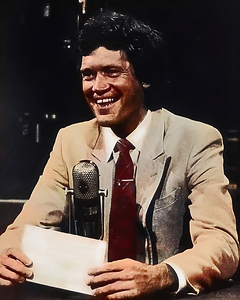 1980s david letterman art 