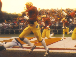 1981 Florida State Football Art