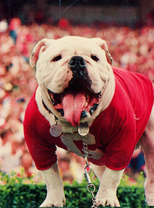 1981 UGA III Photo Art