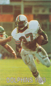 1983 Miami Dolphins Retro Poster