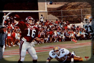 1983 arkansas football art