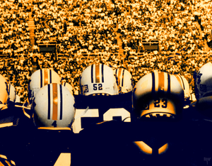 1983 Auburn Tigers Football Photo Art