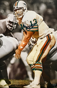1984 Miami Dolphins Dan Marino Art