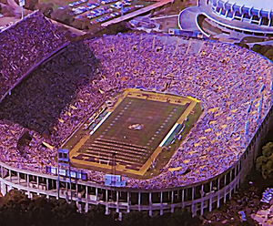 1985 Tiger Stadium Art